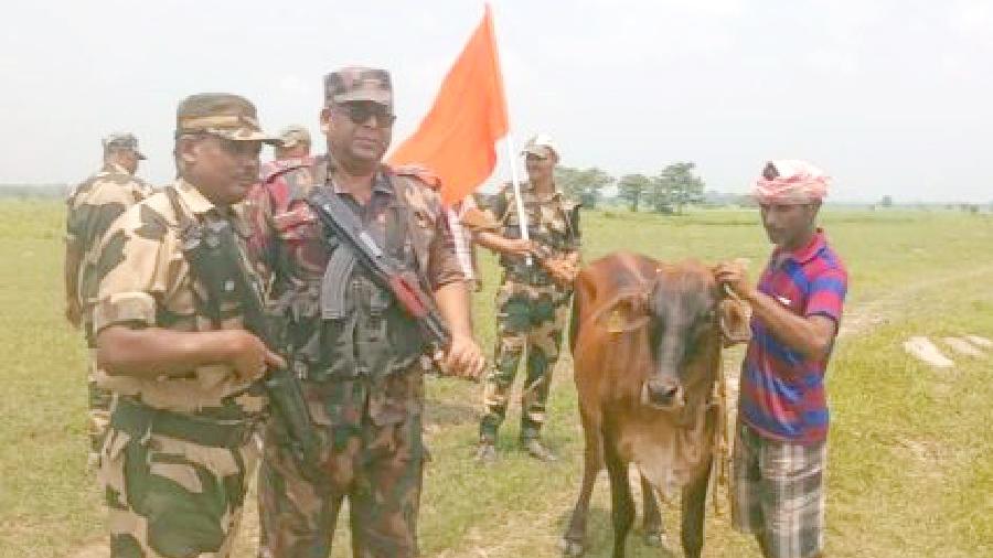 মুন্নিকে ফিরিয়ে নিতে বিজিবি-বিএসএফ এক হলো