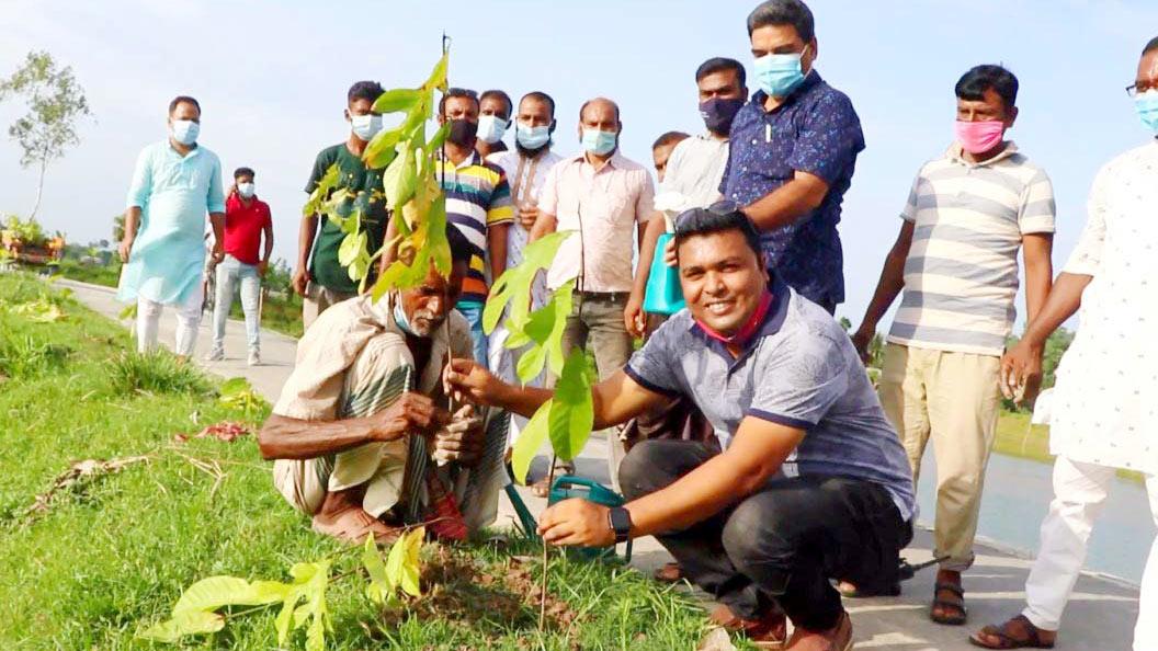 উল্লাপাড়ায় বজ্রপাত থেকে বাঁচতে চাপালিশগাছের চারা রোপণ