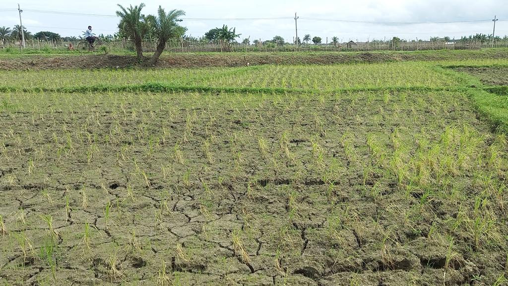 বর্ষায়ও পানির জন্য হাহাকার