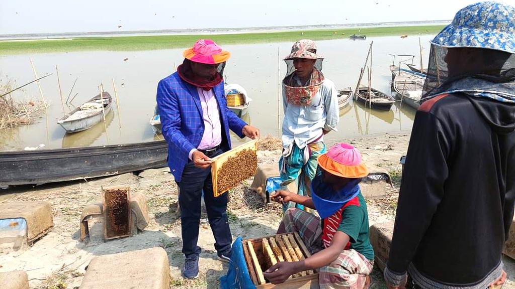 জাজিরায় কালিজিরা মধু চাষে সফল কৃষক