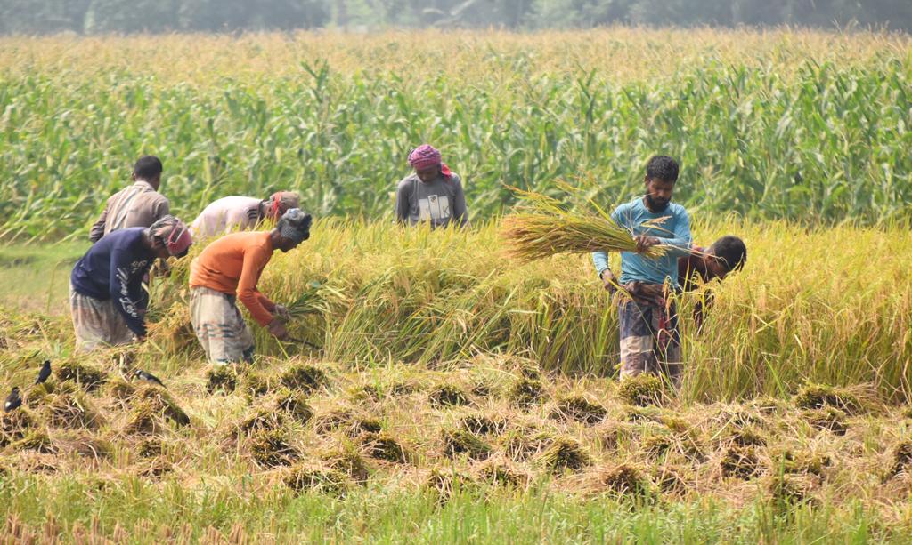 কৃষিঋণের পরিমাণ বাড়ল ৩ হাজার কোটি টাকা