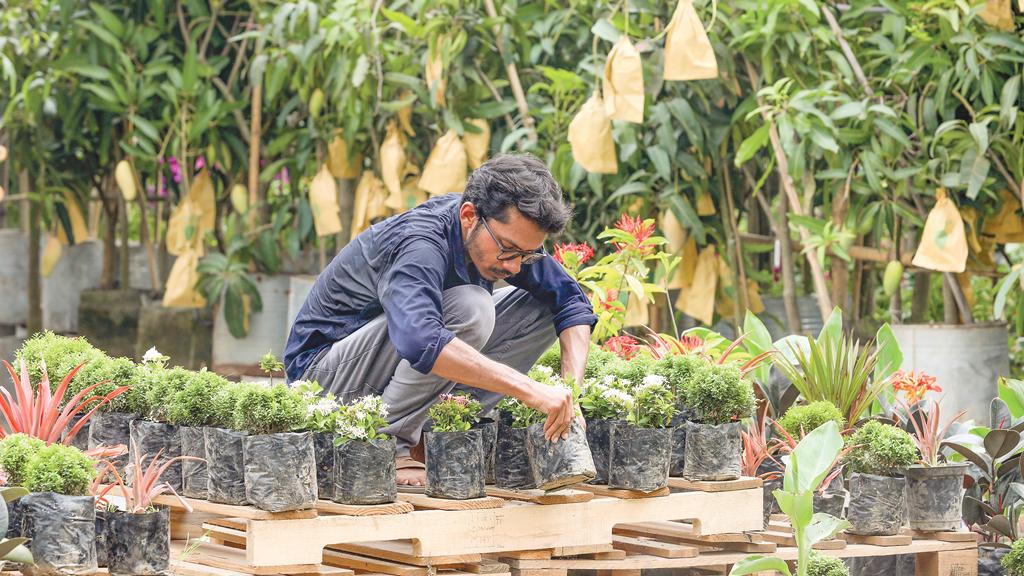 শ্যামলে সবুজে সাজাই স্বদেশ