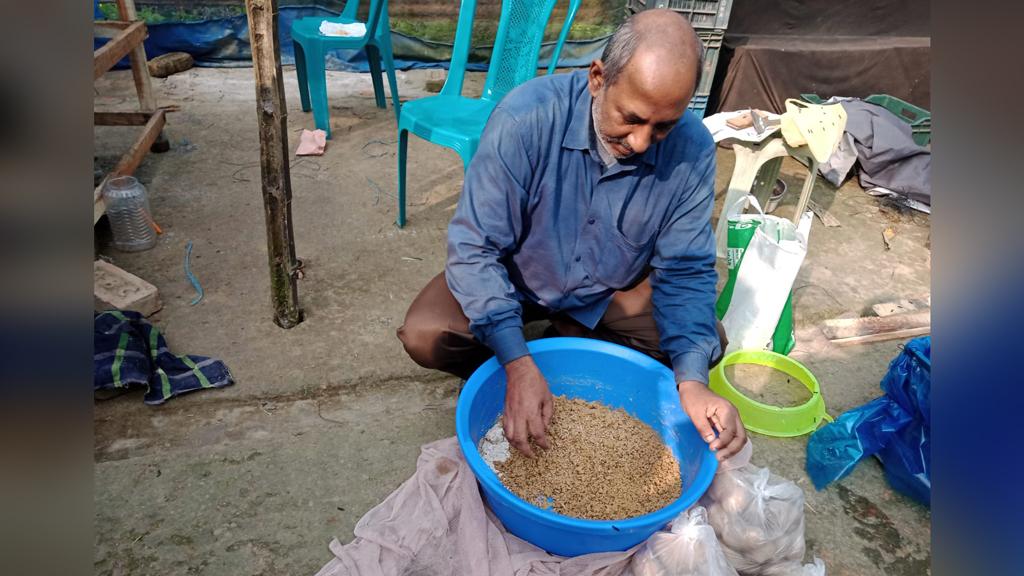 এবার ‘কালো মাছি’ চাষে সফল বানাড়ীপাড়ার সুলতান