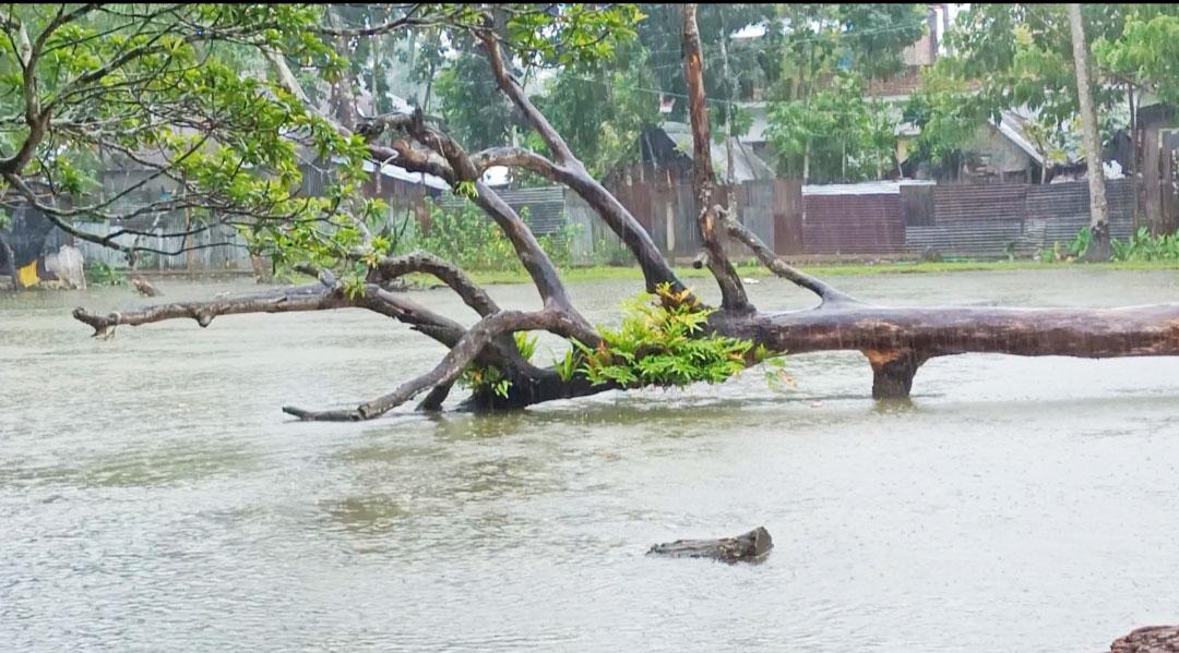 পিরোজপুরে সকাল থেকে ঝোড়ো হাওয়ার পাশাপাশি মুষলধারে বৃষ্টি হচ্ছে 