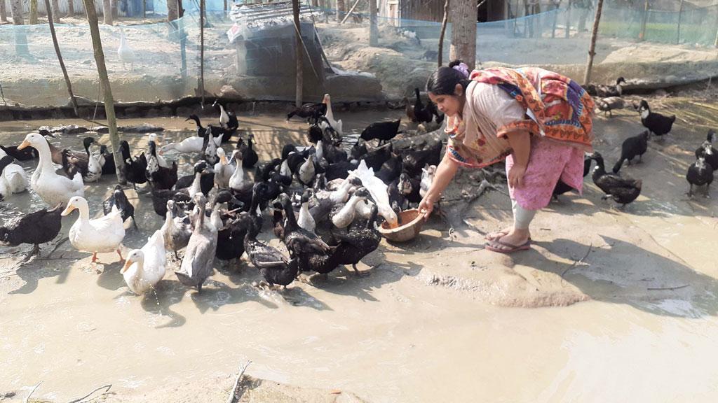 কাপড়ে না হলেও হাঁসে হাসি