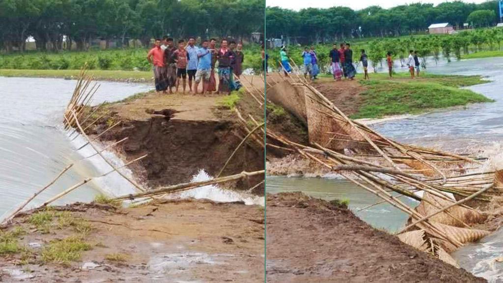 শনি হাওরের দুটি বাঁধ ঝুঁকিপূর্ণ, অনিদ্রায় কৃষকেরা 