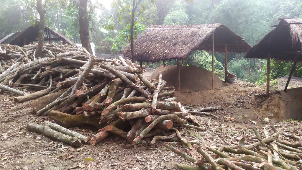 কাঠ পুড়িয়ে কয়লা বিক্রি