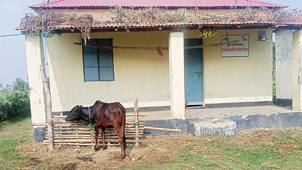 আশ্রয়ণের অধিকাংশ ঘরে তালা ঝুলছে, থাকেন না বরাদ্দপ্রাপ্তরা