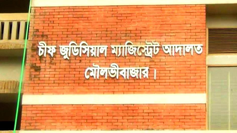 ১০০ গাছ রোপণের শর্তে আসামিদের মুক্তি দিলেন আদালত