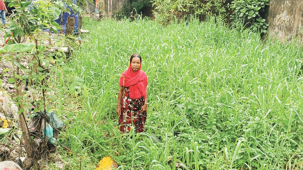 হালদার ‘স্বাস্থ্য খারাপ’ তিন খালের বর্জ্যে