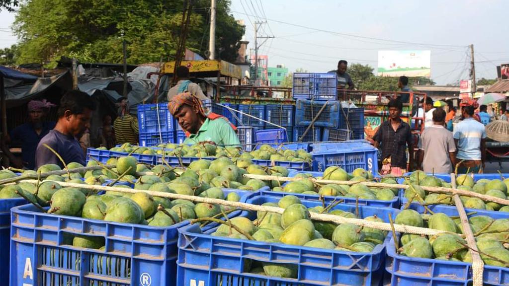 জমে উঠেছে বানেশ্বরের আমের হাট, দাম চড়া