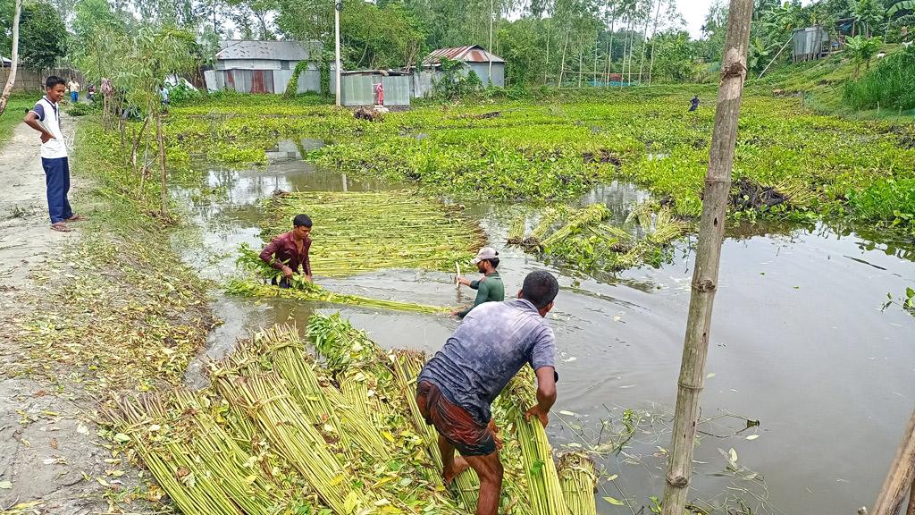 পানিতে পাটের জাগ ক্ষতি পরিবেশের