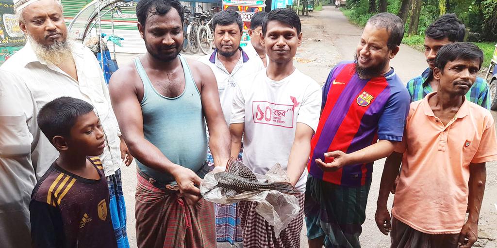 মুক্ত জলাশয়-খালেও পাওয়া যাচ্ছে সাকার মাছ, উদ্বিগ্ন জেলেরা