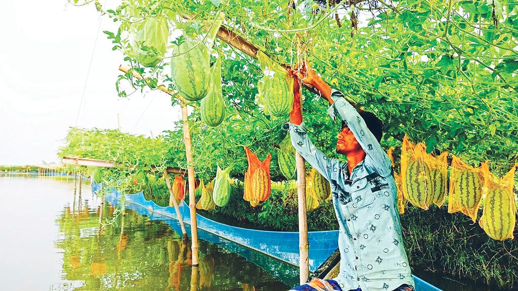 অসময়ের ফলে বিল খুকশিয়ার হাসি