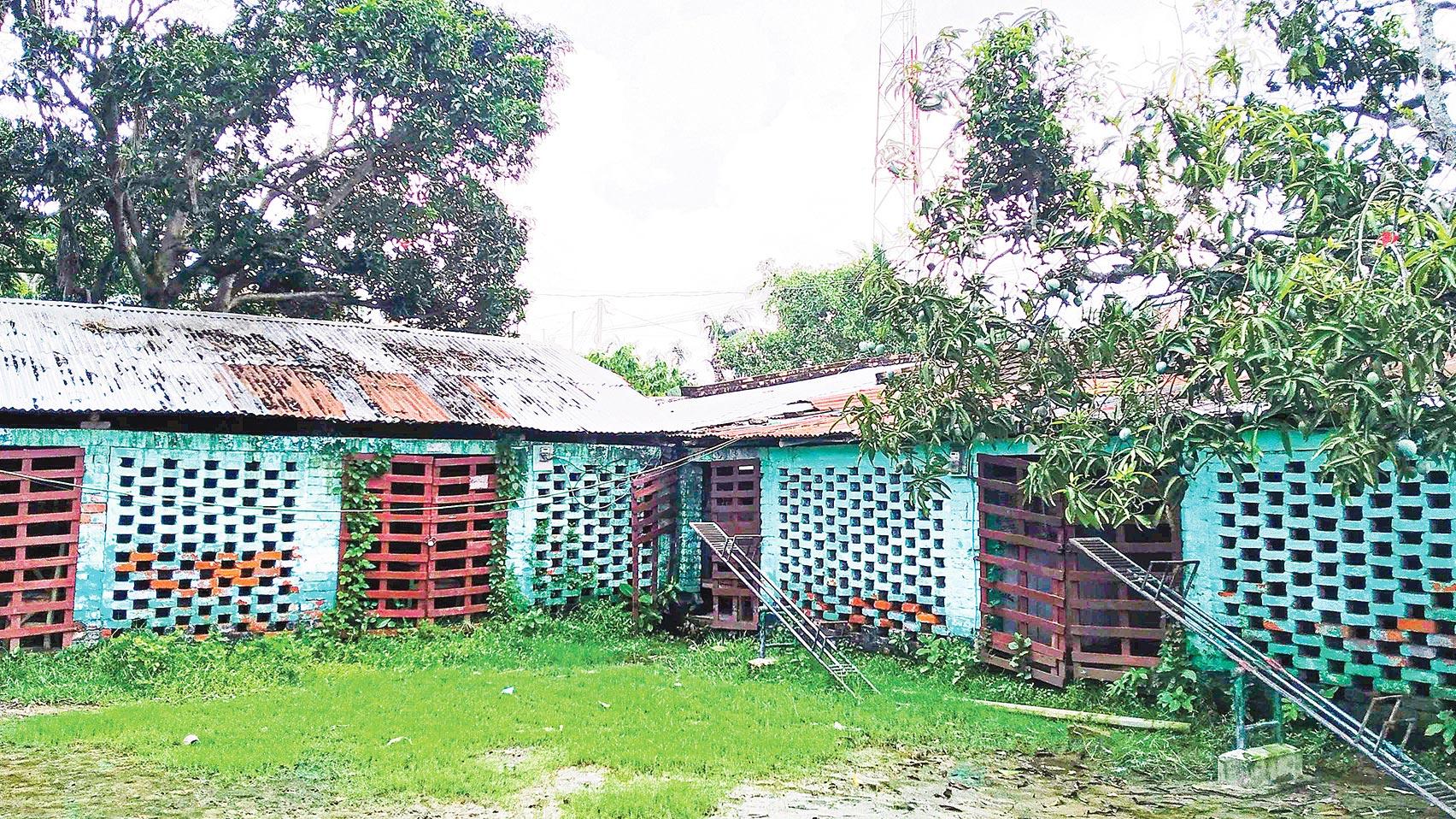 অর্ধাহারে কিন্ডারগার্টেনের শিক্ষকেরা