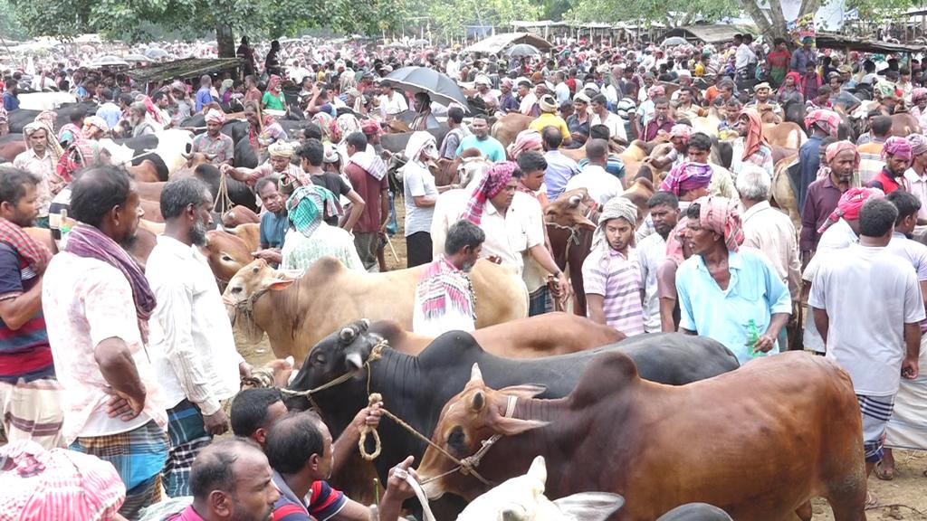 নগদ অর্থ ছাড়াই পশু কেনা যাবে ৮ হাটে