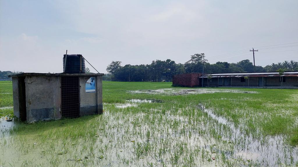 বিলের মুখ বন্ধ, ৩০০ বিঘা জমিতে জলাবদ্ধতা