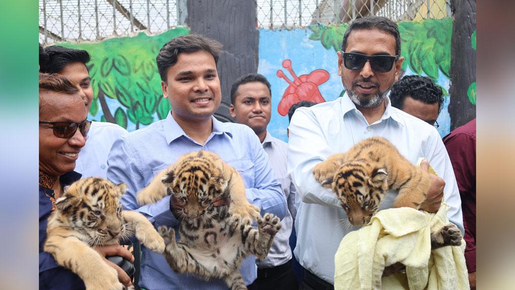 জো বাইডেন-জয়া বাঘদম্পতির শাবকদের নাম রাখা হলো— প্রকৃতি, স্রোতস্বিনী ও রূপসী