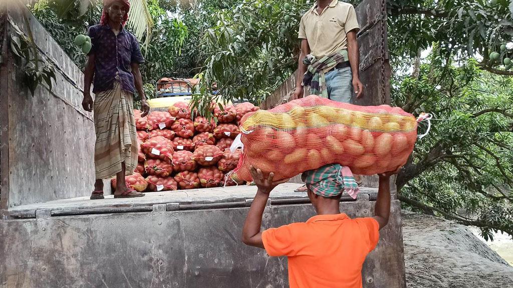 বাঘায় ঝড়ে পড়া আম বিক্রি হচ্ছে ২-৩ টাকা কেজি দরে 