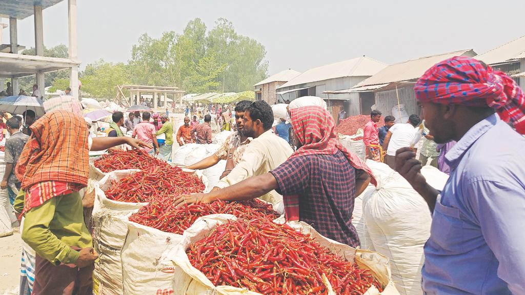 নদীপারের লাল মরিচের হাট