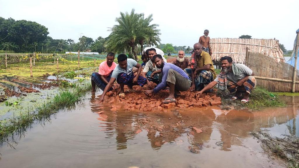 তালায় স্বেচ্ছাশ্রমে রাস্তা সংস্কার