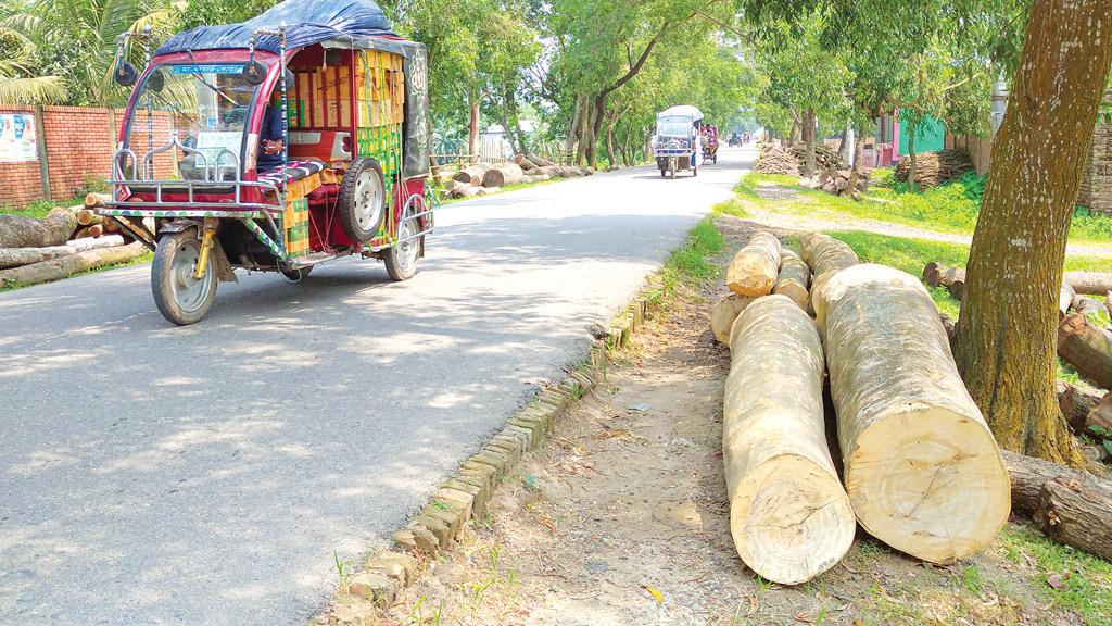 গুঁড়িতে দখল হাঁটার জায়গা