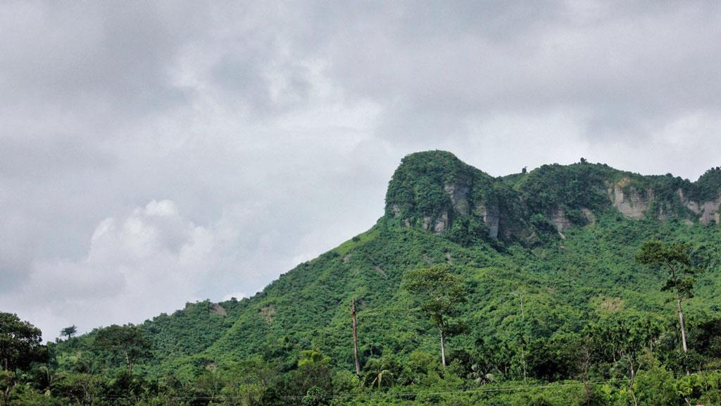 টেকনাফে পাহাড়ে গরু চরাতে গিয়ে নিখোঁজ ২ রাখাল 