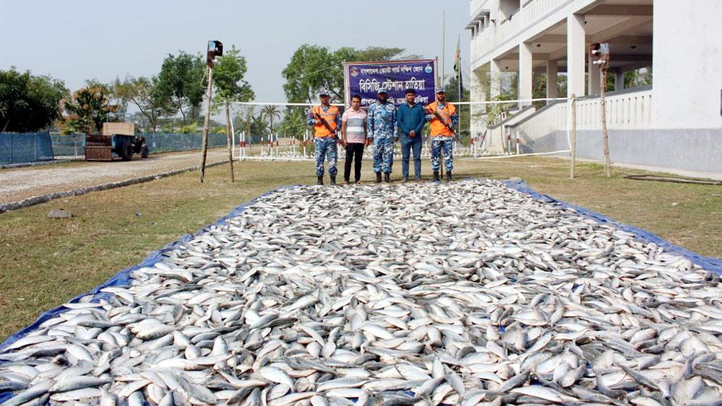 হাতিয়ায় ১০০ মণ জাটকাসহ আটক ৫