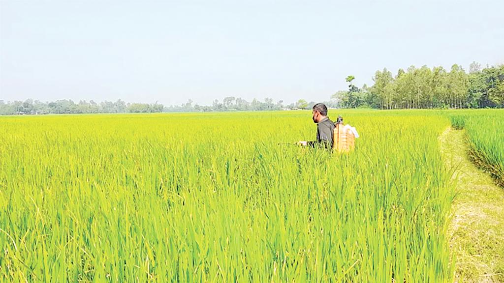 উৎপাদন কমলে খাদ্যসংকট দেখা দেবে