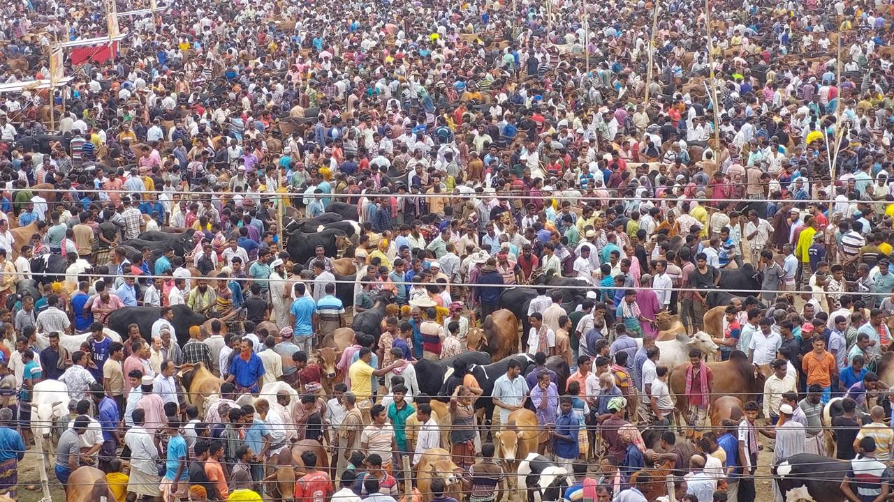 কোরবানির পশুর হাটে দর কষাকষি বেশি, বিক্রি কম