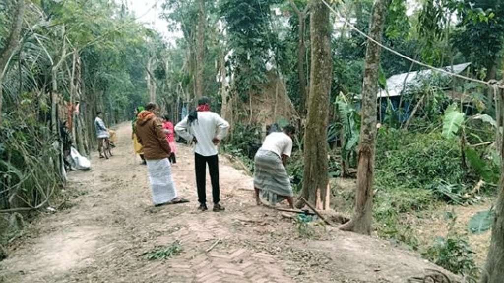 বনায়নের ৫ শতাধিক গাছ কেটে বিক্রি