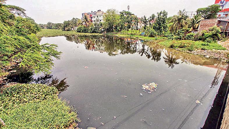 দূষণ রোধে সরব পরিবেশবাদীরা