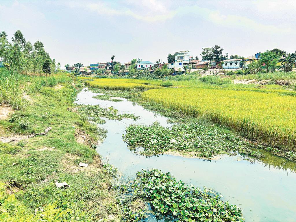 ৮০ কোটি টাকা খরচেও পা‌নি নেই