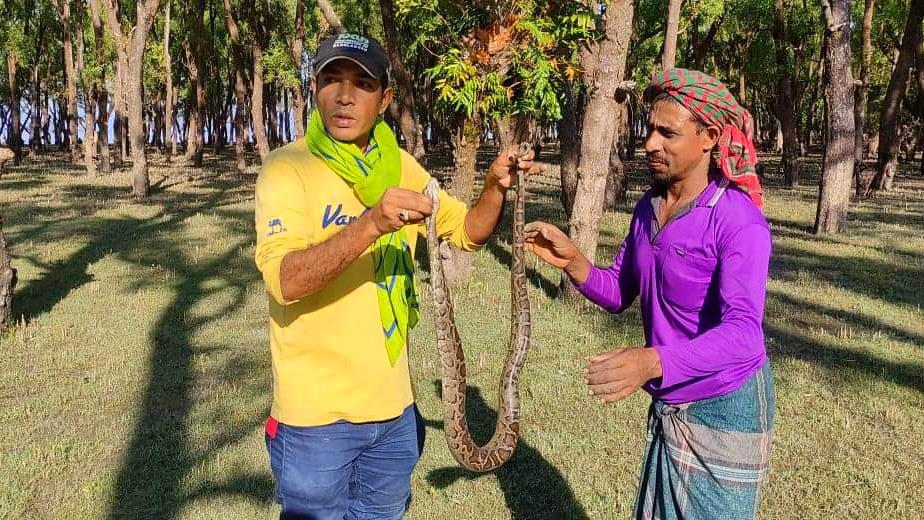 পাথরঘাটায় জালে আটকে পড়া অজগর অবমুক্ত