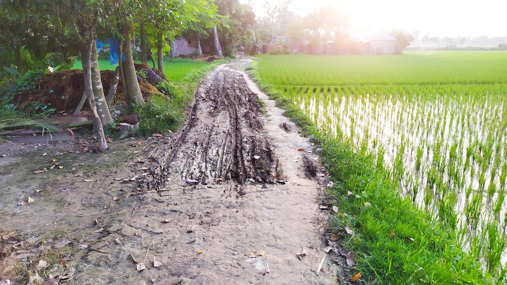 কাজ কাগজে, বাস্তবে নেই