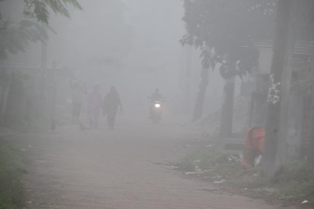 নভেম্বরে যেমন থাকবে আবহাওয়া, শীত নামবে কবে