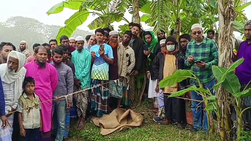 কলাপাড়ায় বিয়ের পরদিন মরিচখেতে যুবকের গলাকাটা লাশ