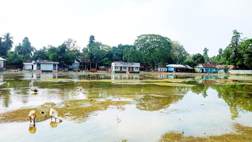 স্টেডিয়াম নয়, যেন পুকুর