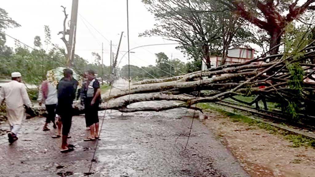 ঘূর্ণিঝড় ‘মিধিলি’: চাঁদপুরে গাছ পড়ে বিভিন্ন জায়গায় বিদ্যুৎ সরবরাহ বন্ধ, স্বাভাবিক নৌ চলাচল