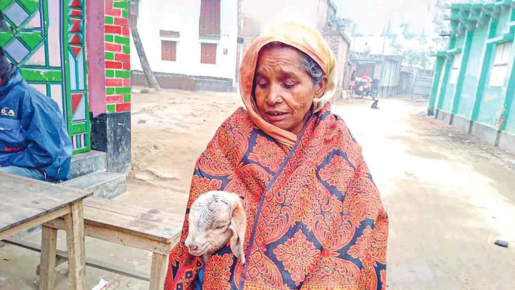 জেঁকে বসেছে শীত, মানুষের পাশাপাশি কাহিল পশুপাখি