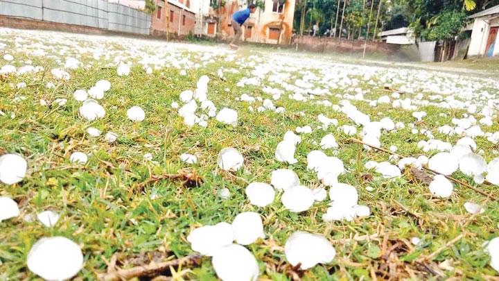 আজ থেকে দুদিন দেশে শিলাবৃষ্টির আভাস