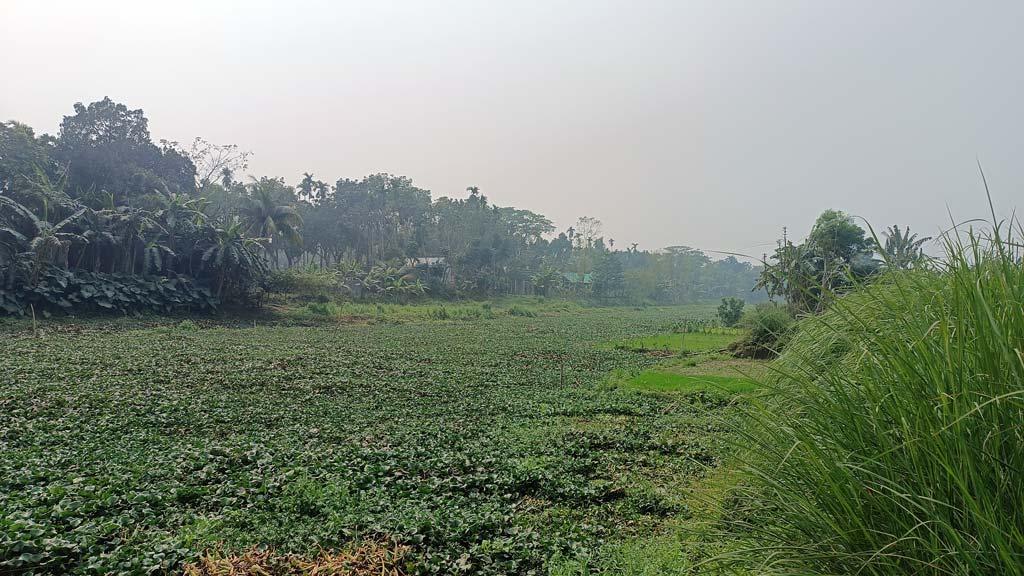 দখল-দূষণ ও বাঁধে নরসুন্দার প্রাণ যায়