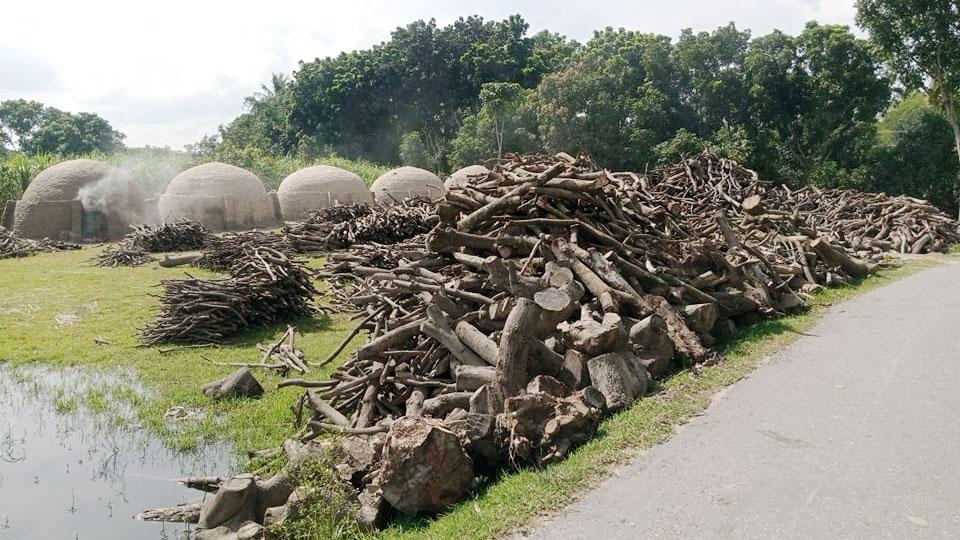 বংশ পরম্পরায় কাঠকয়লায় চলে তাঁদের জীবন