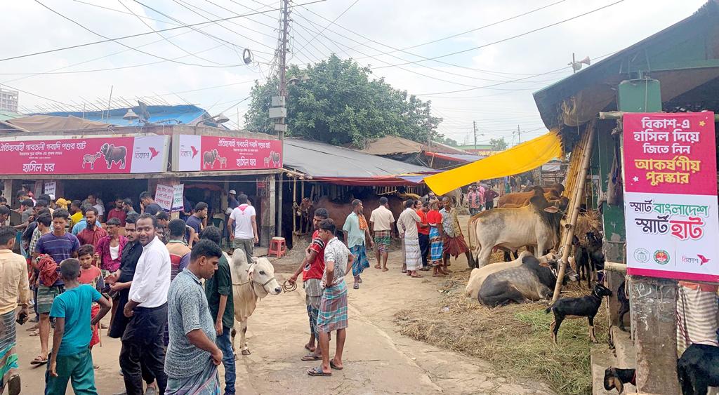 বিকাশ পেমেন্টে কেনা যাচ্ছে কোরবানির পশু