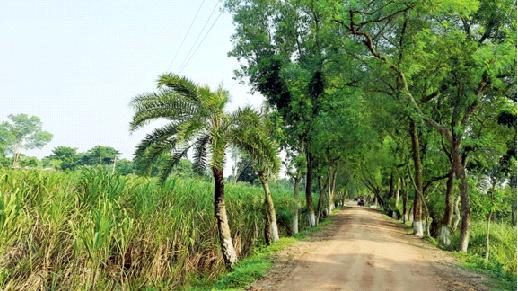 যে গ্রামে সব আছে