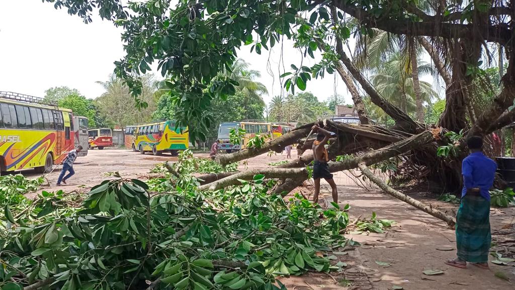 শালিখায় ঝড়ে ভেঙে পড়েছে বিদ্যুতের ১১টি খুঁটি