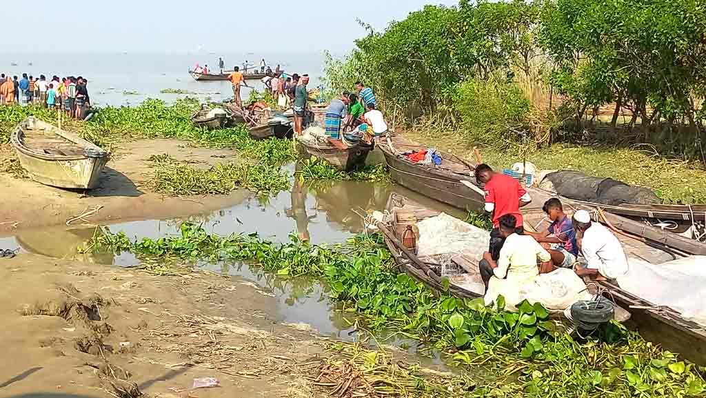 মেঘনায় শত শত নৌকা, নিষেধাজ্ঞার মধ্যেই চলছে ইলিশ ধরা 