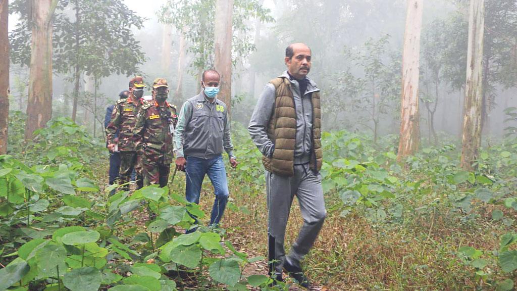 মশা দেখে কর্তৃপক্ষকে দুষলেন মেয়র