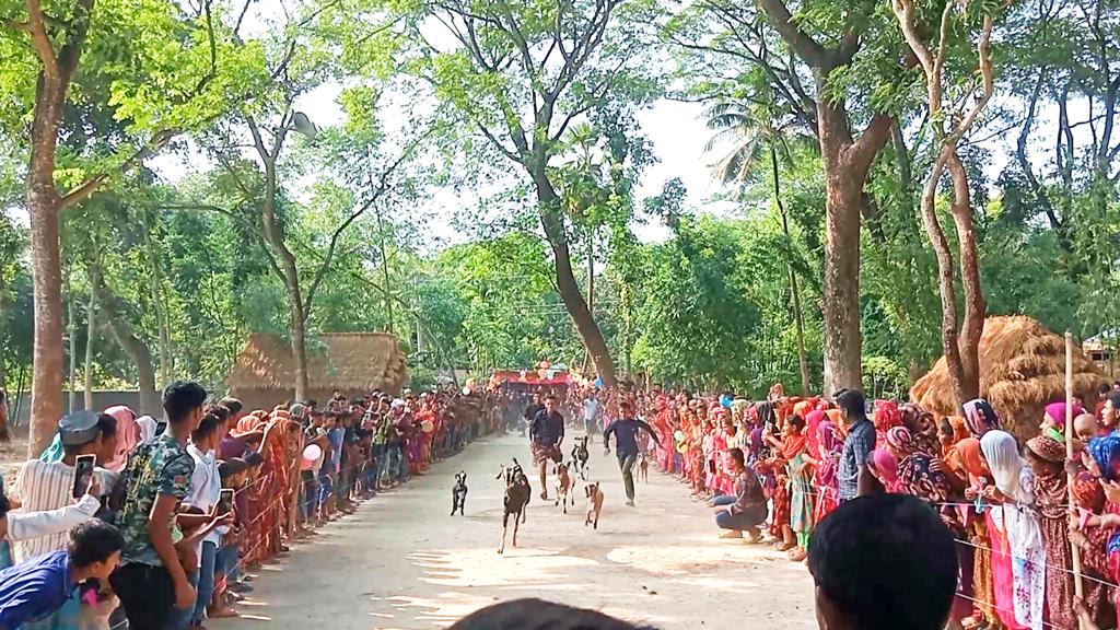 ৩০ ছাগলের দৌড় প্রতিযোগিতা, পুরস্কার বই-খাতা-কলম-ঘড়ি