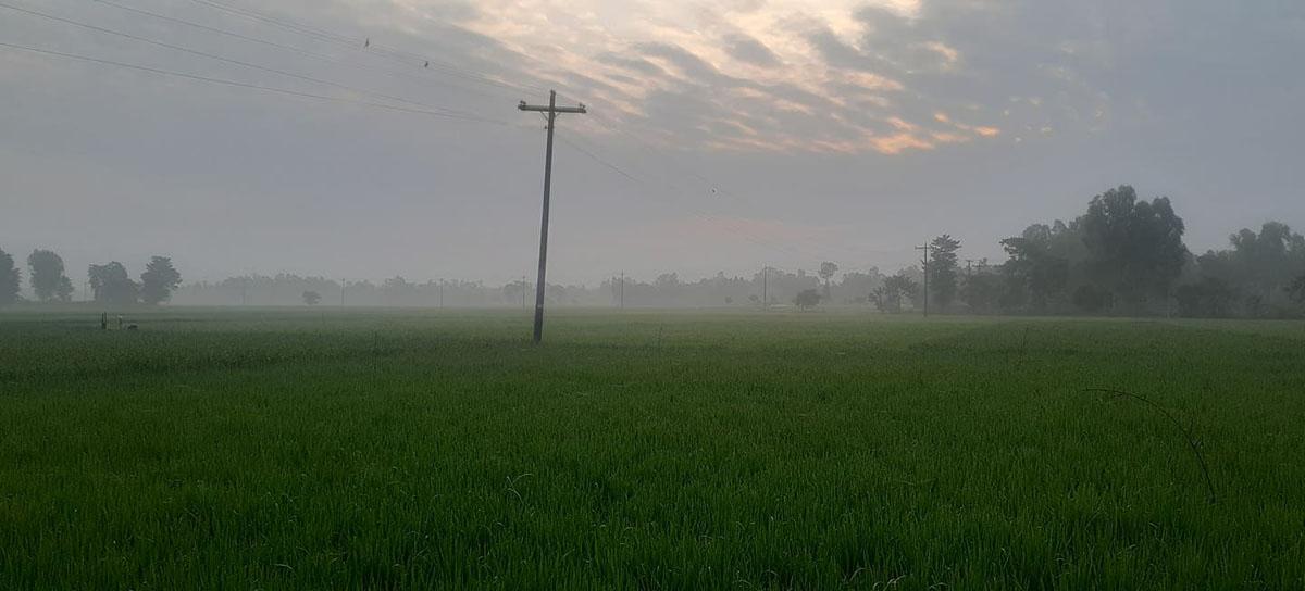 হিমেল হাওয়ার সঙ্গে ঘনকুয়াশা  রৌমারীতে